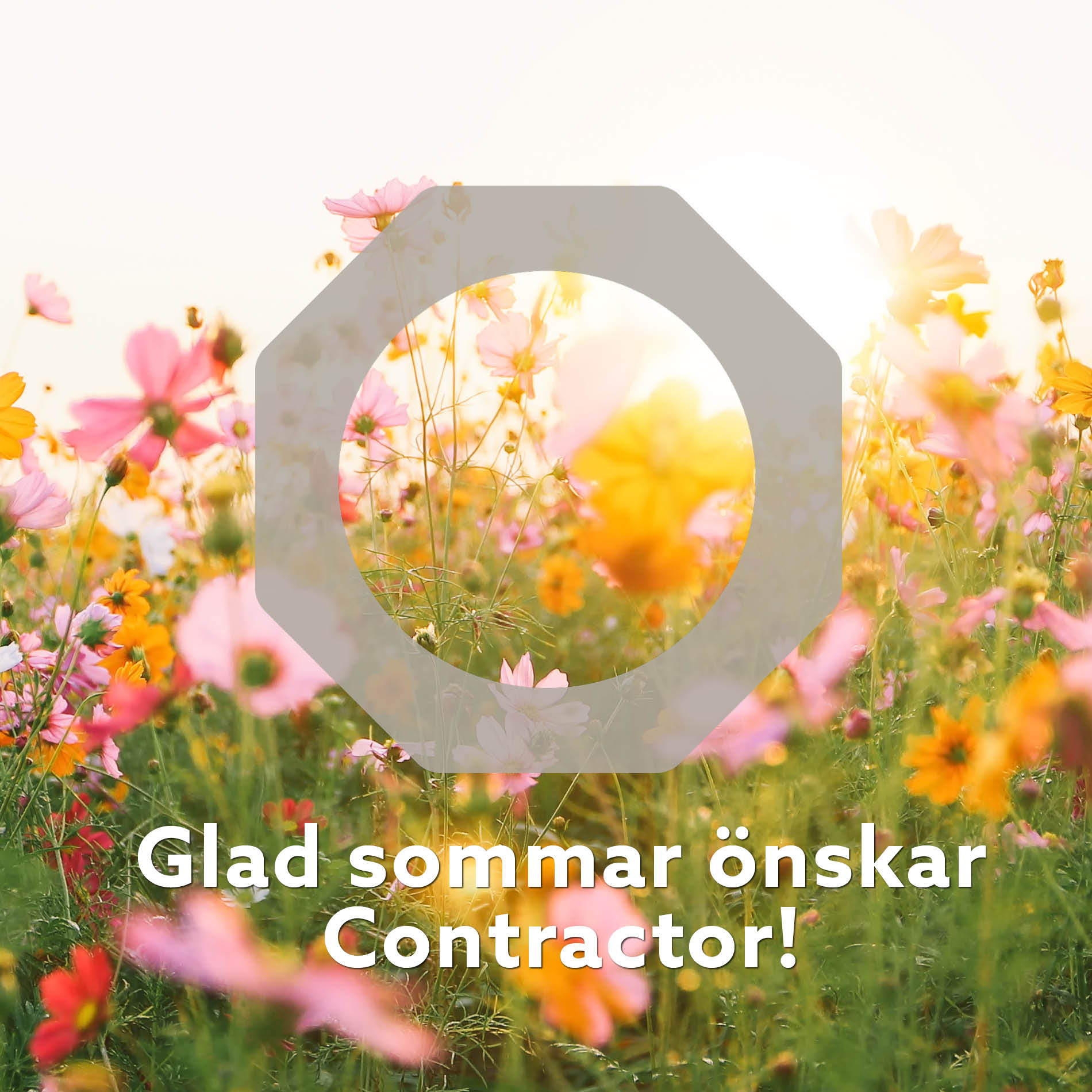 Contractor logga på en somrig bild med en text som tyder Glad sommar önskar Contractor