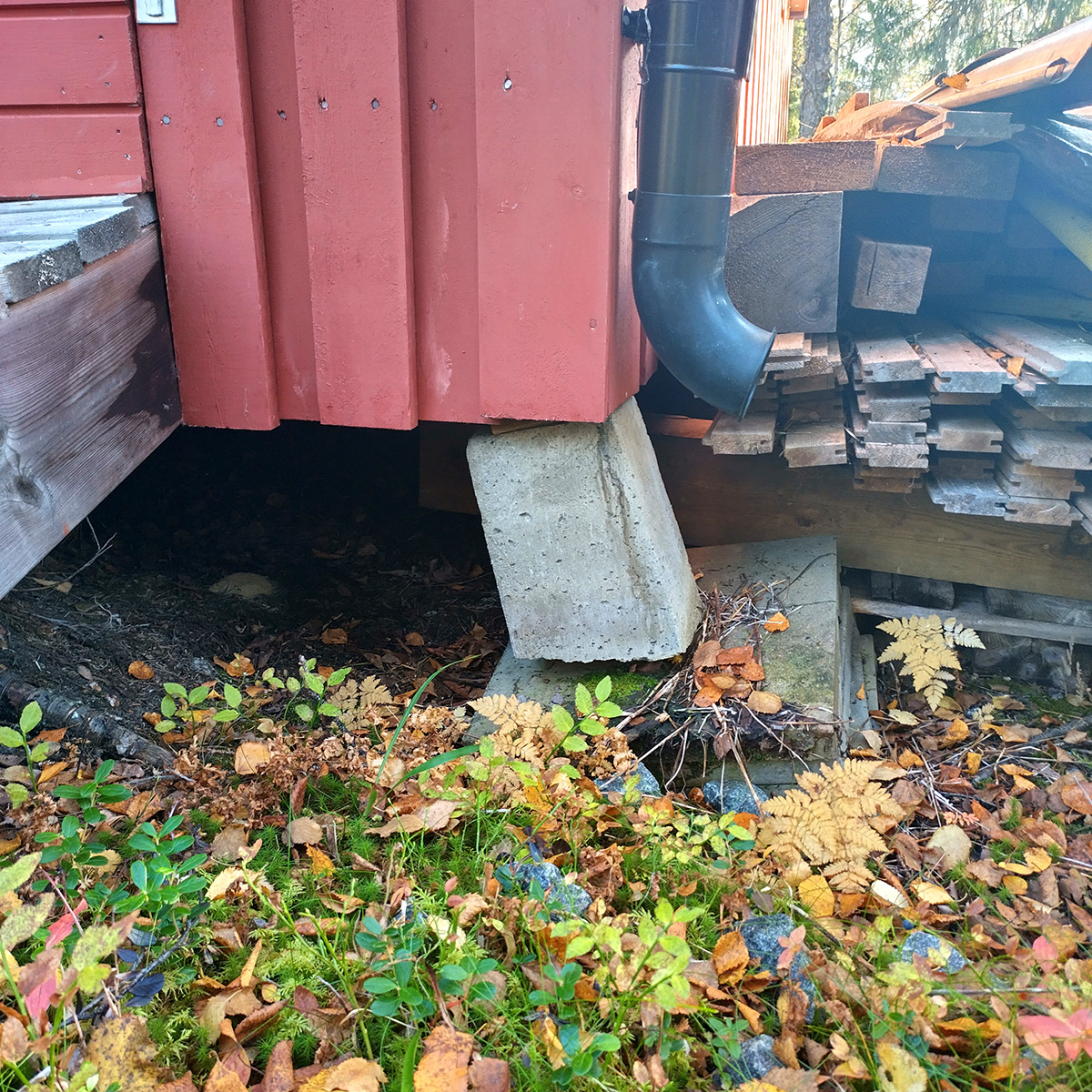 Hektisk höst i Hemavan